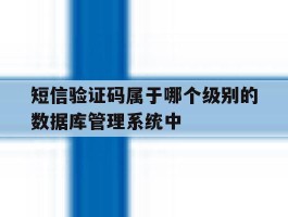 短信验证码属于哪个级别的数据库管理系统中