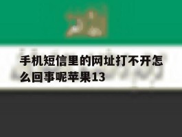 手机短信里的网址打不开怎么回事呢苹果13