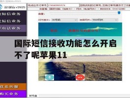 国际短信接收功能怎么开启不了呢苹果11