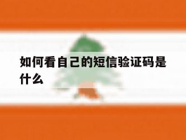 如何看自己的短信验证码是什么