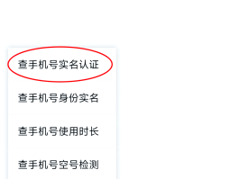 免费虚拟手机号验证平台有哪些软件呢安全吗