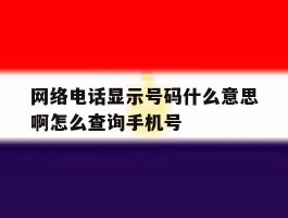 网络电话显示号码什么意思啊怎么查询手机号