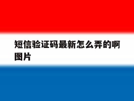 短信验证码最新怎么弄的啊图片