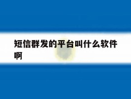 短信群发的平台叫什么软件啊