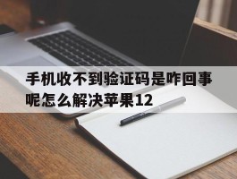 手机收不到验证码是咋回事呢怎么解决苹果12