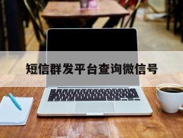 短信群发平台查询微信号