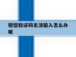 短信验证码无法输入怎么办呢