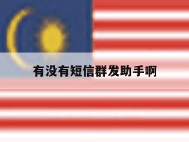 有没有短信群发助手啊