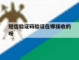 短信验证码验证在哪接收的呀