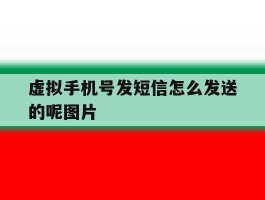 虚拟手机号发短信怎么发送的呢图片