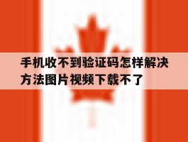 手机收不到验证码怎样解决方法图片视频下载不了