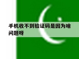 手机收不到验证码是因为啥问题呀