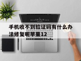 手机收不到验证码有什么办法修复呢苹果12