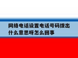 网络电话设置电话号码拨出什么意思呀怎么回事