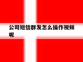 公司短信群发怎么操作视频呢