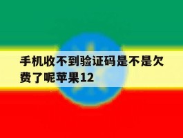 手机收不到验证码是不是欠费了呢苹果12