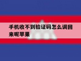 手机收不到验证码怎么调回来呢苹果