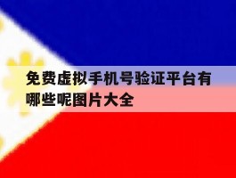 免费虚拟手机号验证平台有哪些呢图片大全