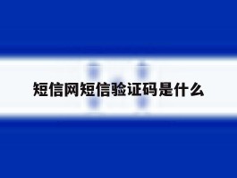 短信网短信验证码是什么