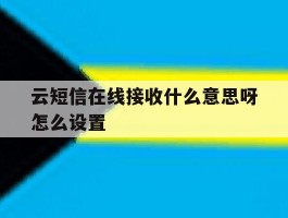 云短信在线接收什么意思呀怎么设置