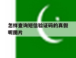 怎样查询短信验证码的真假呢图片