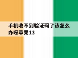 手机收不到验证码了该怎么办呀苹果13