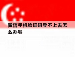 微信手机验证码登不上去怎么办呢