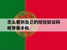 怎么看到自己的短信验证码呢苹果手机