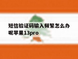短信验证码输入频繁怎么办呢苹果13pro