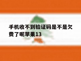 手机收不到验证码是不是欠费了呢苹果13