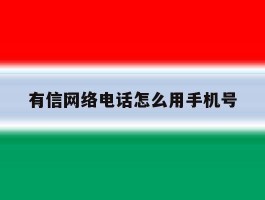 有信网络电话怎么用手机号