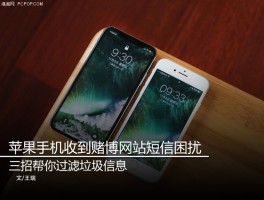 手机接收短信网站在哪里看