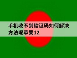 手机收不到验证码如何解决方法呢苹果12
