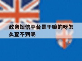 政务短信平台是干嘛的呀怎么查不到呢