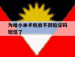 为啥小米手机收不到验证码短信了