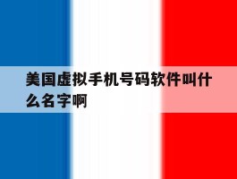 美国虚拟手机号码软件叫什么名字啊
