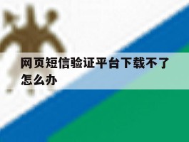 网页短信验证平台下载不了怎么办