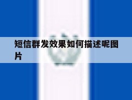 短信群发效果如何描述呢图片