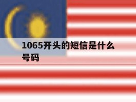1065开头的短信是什么号码