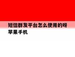 短信群发平台怎么使用的呀苹果手机