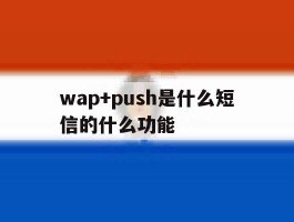 wap+push是什么短信的什么功能