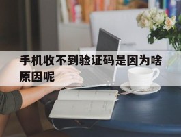 手机收不到验证码是因为啥原因呢