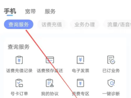 电信手机号查询余额怎么查不到了呢