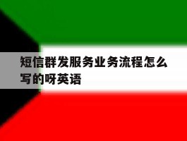 短信群发服务业务流程怎么写的呀英语