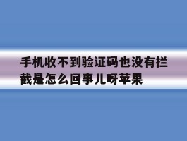 手机收不到验证码也没有拦截是怎么回事儿呀苹果