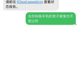 短信里的网址打开安全吗是真的吗还是假的