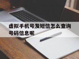 虚拟手机号发短信怎么查询号码信息呢的简单介绍