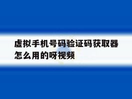 虚拟手机号码验证码获取器怎么用的呀视频