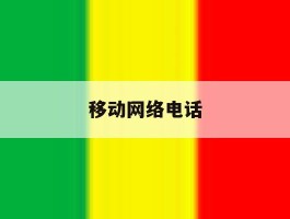 移动网络电话