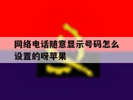 网络电话随意显示号码怎么设置的呀苹果